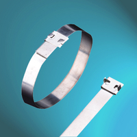 Stainless Steel Earthing Clamps