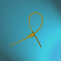 Nylon Cable Ties-Security Type
